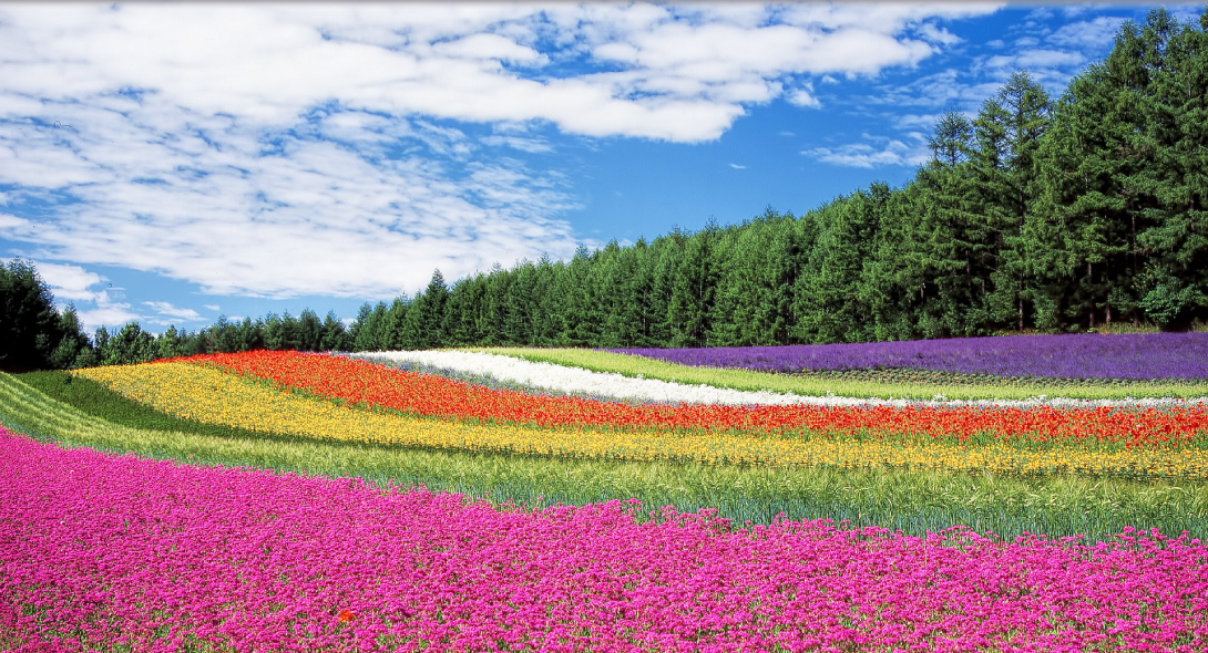 建物の名称銘板